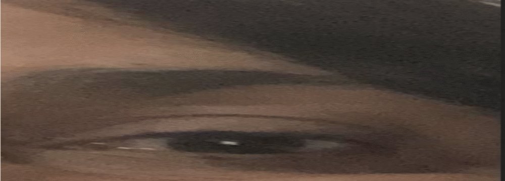 Crônicas, reflexões e pensamento